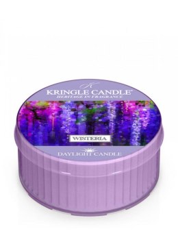 Kringle Candle - Wisteria - Świeczka zapachowa - Daylight (42g)